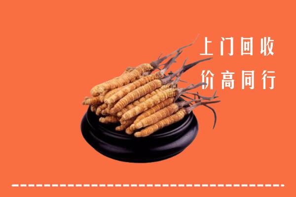 重庆市酉阳冬虫夏草回收多少钱每克